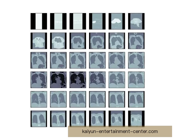 2026世界杯投注平台全面解析助你精准掌握最新赛事动态